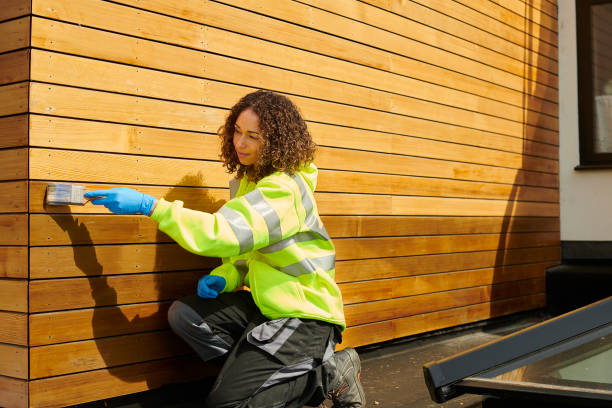 Best Stone Veneer Siding  in Clemson University, SC